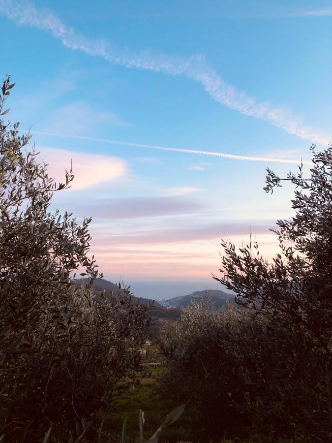 Bed And Breakfast Ca Du 5 Tovo San Giacomo Exterior photo
